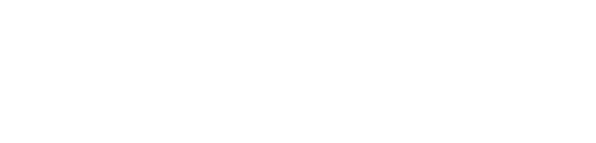 protecfire GmbH logo